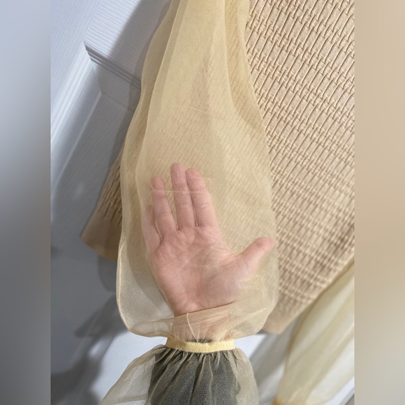 🛑 SOLD MAEVE Anthropologie L Cream Blouse Sheer Balloon Ruffle Trim Sleeves - Picture 12 of 12